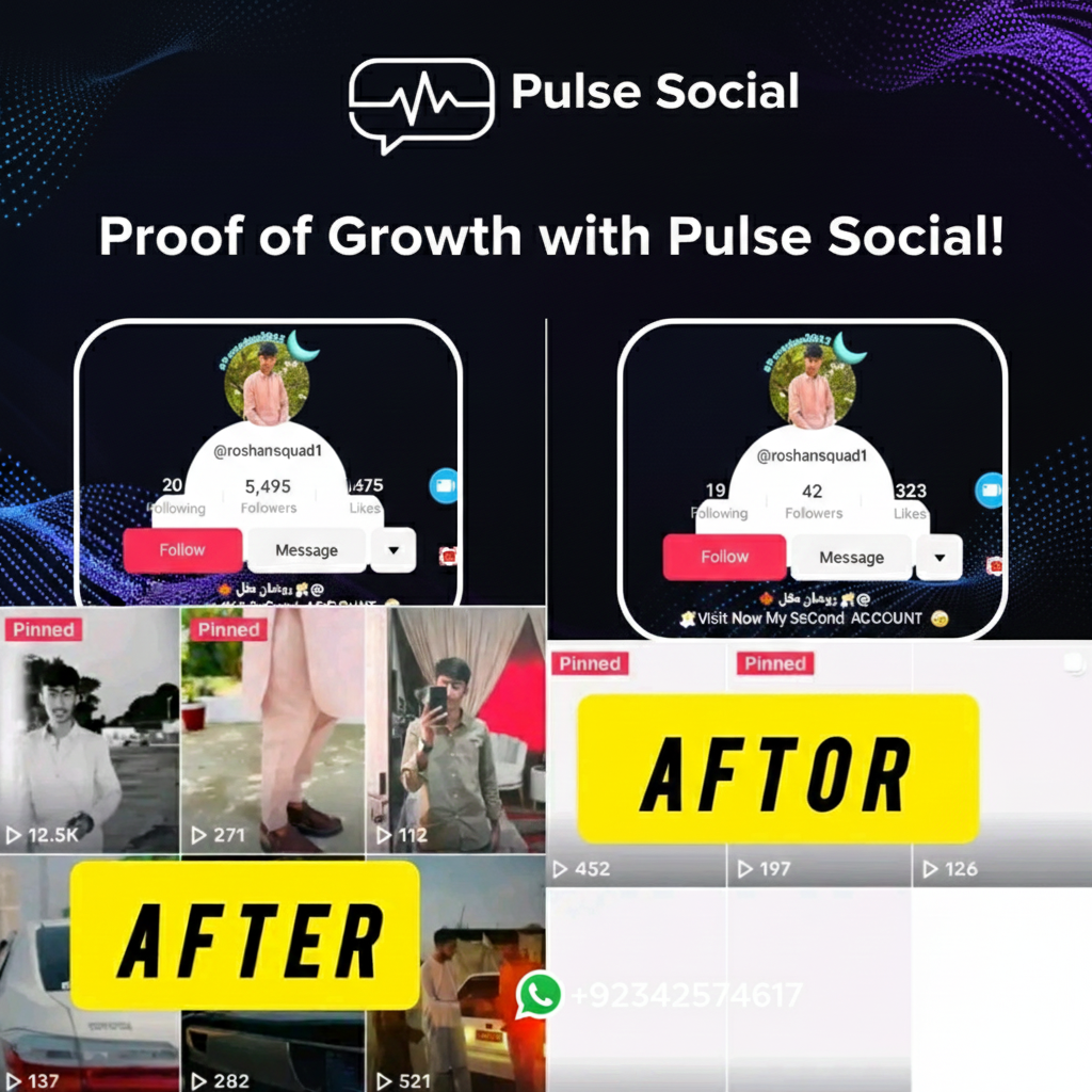 TikTok Follower Growth Proof 2